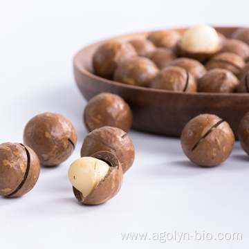 Yunnan Original and Cream Flavor Roasted Macadamia nuts